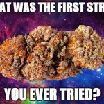 space weed | WHAT WAS THE FIRST STRAIN YOU EVER TRIED? | image tagged in space weed | made w/ Imgflip meme maker