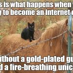 I'm just sitting here on my horse | This is what happens when you try to become an internet cat without a gold-plated gun and a fire-breathing unicorn | image tagged in black cat on horse barbed wire fence,microsoft,ninja cat,internet cat,mfw,fml | made w/ Imgflip meme maker