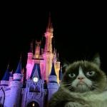 Grumpy Cat Disneyland castle