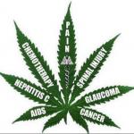 Benefits of Marijuana