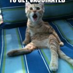 Vet visit gone horribly wrong | I WAS SUPPOSED TO GET VACCINATED WHERE'S MY BALLS | image tagged in where's my balls,animals,cats,funny,pets | made w/ Imgflip meme maker