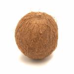 good luck coconut