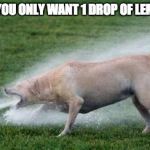 Thirsty Dog | WHEN YOU ONLY WANT 1 DROP OF LEMON OIL | image tagged in thirsty dog | made w/ Imgflip meme maker