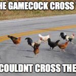Cock road chickens | WHY DID THE GAMECOCK CROSS THE ROAD? CAUSE HE COULDNT CROSS THE GOAL LINE | image tagged in cock road chickens | made w/ Imgflip meme maker