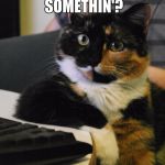 Shitty Consultation Kitty | WANNA KNOW SOMETHIN'? YOU'RE A CREEP. | image tagged in shitty consultation kitty | made w/ Imgflip meme maker