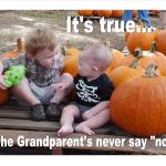 Grandparents never say no