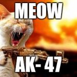 lol | MEOW AK- 47 | image tagged in lol | made w/ Imgflip meme maker