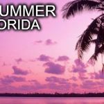 Endless Summer | ENDLESS SUMMER SOUTH FLORIDA | image tagged in endless summer | made w/ Imgflip meme maker