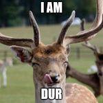 deer thug life | I AM DUR | image tagged in deer thug life | made w/ Imgflip meme maker