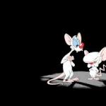 Pinky & Brain