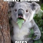 WTF Koala | HARVEY BIRDMAN DIES? | image tagged in wtf koala | made w/ Imgflip meme maker