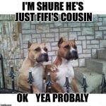 Don't Worry Bro | I'M SHURE HE'S JUST FIFI'S COUSIN OK    YEA PROBALY | image tagged in don't worry bro | made w/ Imgflip meme maker