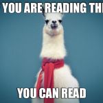 Smart Llama | IF YOU ARE READING THIS YOU CAN READ | image tagged in smart llama | made w/ Imgflip meme maker