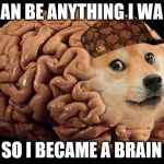 doge braine | I CAN BE ANYTHING I WANT SO I BECAME A BRAIN | image tagged in doge braine,scumbag | made w/ Imgflip meme maker
