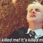 Draco it's killed me