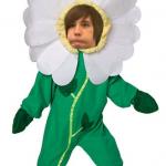 Flower Dan