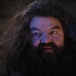 Hagrid wizard