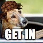 dog in car | GET IN | image tagged in dog in car,scumbag | made w/ Imgflip meme maker