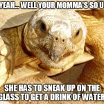 Turtle Joanna | OH YEAH... WELL YOUR MOMMA'S SO UGLY SHE HAS TO SNEAK UP ON THE GLASS TO GET A DRINK OF WATER! | image tagged in turtle joanna | made w/ Imgflip meme maker