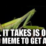 Never give up...anyone can make the front page at anytime. It only takes one great meme to get noticed. | ALL IT TAKES IS ONE GOOD MEME TO GET AHEAD | image tagged in headless mantis,mantis,insects,praying mantis,funny | made w/ Imgflip meme maker