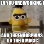 bert eyes | WHEN YOU ARE WORKING OUT AND THE ENDORPHINS DO THEIR MAGIC | image tagged in bert eyes | made w/ Imgflip meme maker