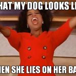 When you see it... | WHAT MY DOG LOOKS LIKE WHEN SHE LIES ON HER BACK | image tagged in oprah,dog,breasts,nipple,when you see it | made w/ Imgflip meme maker