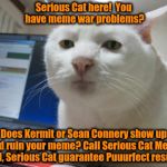 This has been a paid infomercial by Serious Cat Meme Company!  Your Meme War Solutions Company! | Serious Cat here!  You have meme war problems? Does Kermit or Sean Connery show up and ruin your meme? Call Serious Cat Meme Co. I, Serious  | image tagged in serious cat,funny memes,memes,front page | made w/ Imgflip meme maker