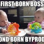 twins | FIRST BORN BOSS SECOND BORN BYPRODUCT | image tagged in twins | made w/ Imgflip meme maker