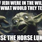 Western Jedi | IF JEDI WERE IN THE WILD WEST WHAT WOULD THEY TELL YOU USE THE HORSE LUKE | image tagged in yoda joke,yoda | made w/ Imgflip meme maker