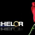 The bachelor