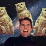 Tom Cruise Cats meme