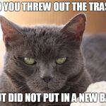 disapproving cat | SO YOU THREW OUT THE TRASH BUT DID NOT PUT IN A NEW BAG | image tagged in disapproving cat,memes | made w/ Imgflip meme maker