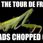 Raydog is like literally my idol now | DOES THE TOUR DE FRANCE HEADS CHOPPED OFF | image tagged in headless mantis,head | made w/ Imgflip meme maker