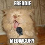 Cat Singing | FREDDIE MEOWCURY | image tagged in cat singing | made w/ Imgflip meme maker