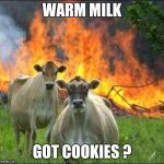 evil cows | WARM MILK GOT COOKIES ? | image tagged in evil cows | made w/ Imgflip meme maker