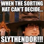 Harry Potter Hat | WHEN THE SORTING HAT CAN'T DECIDE... SLYTHENDOR!!! | image tagged in harry potter hat | made w/ Imgflip meme maker
