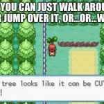 Pokemon Tree | OR, YOU CAN JUST WALK AROUND IT, OR JUMP OVER IT, OR...OR...WHAT? | image tagged in pokemon tree | made w/ Imgflip meme maker