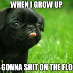 Derpy Puppy! | WHEN I GROW UP IM GONNA SHIT ON THE FLOOR | image tagged in derpy puppy | made w/ Imgflip meme maker
