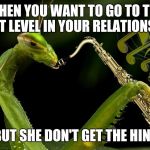 Mantis Playing Sax | WHEN YOU WANT TO GO TO THE NEXT LEVEL IN YOUR RELATIONSHIP BUT SHE DON'T GET THE HINT | image tagged in mantis playing sax,mantis | made w/ Imgflip meme maker