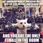 Gym Cat | THAT AWKWARD MOMENT WHEN YOU WALK INTO THE GYM ON A HALLOWEEN NIGHT AND YOU ARE THE ONLY FEMALE IN THE ROOM | image tagged in gym cat | made w/ Imgflip meme maker