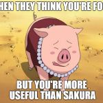 Tonton Naruto | WHEN THEY THINK YOU'RE FOOD BUT YOU'RE MORE USEFUL THAN SAKURA | image tagged in tonton naruto | made w/ Imgflip meme maker