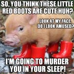 Little piggy in red boots | SO, YOU THINK THESE LITTLE RED BOOTS ARE CUTE HUH? I'M GOING TO MURDER YOU IN YOUR SLEEP! LOOK AT MY FACE, DO I LOOK AMUSED? | image tagged in little piggy in red boots | made w/ Imgflip meme maker