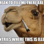 Truth Camel | YOU MEAN TO TELL ME THERE ARE STILL COUNTRIES WHERE THIS IS ILLEGAL? | image tagged in truth camel | made w/ Imgflip meme maker