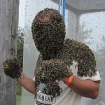 Man wearing bees