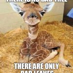 Freeman Giraffe | THERE IS NO BAD TREE THERE ARE ONLY BAD LEAVES | image tagged in freeman giraffe | made w/ Imgflip meme maker