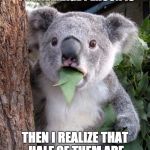 WTF Koala | WHEN I THINK OF HOW STUPID THE AVERAGE PERSON IS THEN I REALIZE THAT HALF OF THEM ARE EVEN STUPIDER THAN THAT | image tagged in wtf koala | made w/ Imgflip meme maker