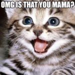 Amazed Cat | OMG IS THAT YOU MAMA? | image tagged in amazed cat | made w/ Imgflip meme maker