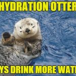 Hydration Otter | HYDRATION OTTER SAYS DRINK MORE WATER! | image tagged in derby otter,hydrate,water,drink | made w/ Imgflip meme maker