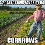 The outstanding scarecrow | WHAT IS A SCARECROWS FAVORITE HAIR STYLE? CORNROWS | image tagged in scarecrow,pun,bad pun,bad puns,funny,joke | made w/ Imgflip meme maker