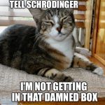 Tell Schrödinger | TELL SCHRÖDINGER I'M NOT GETTING IN THAT DAMNED BOX | image tagged in tell schrdinger | made w/ Imgflip meme maker